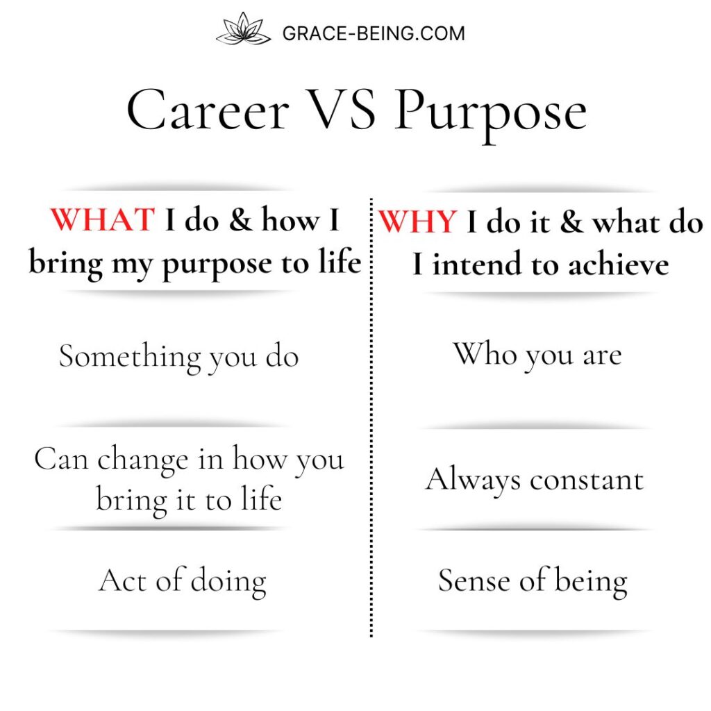 Soul purpose vs career