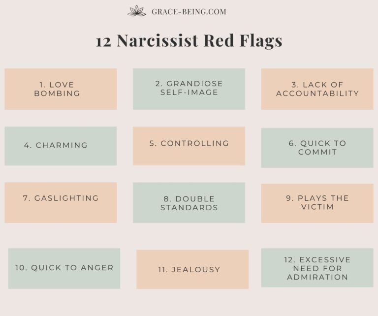 Narcissist Red Flags Info Graphics 768x642 