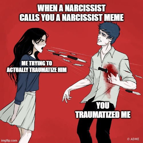 When a Narcissist Calls You a Narcissist Meme