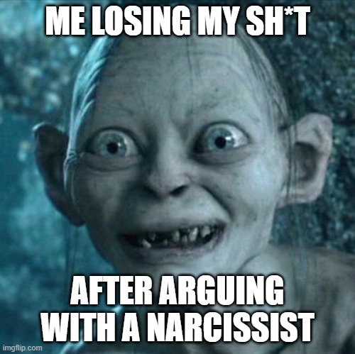 arguing with a narcissist meme