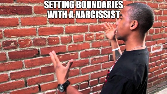 arguing with a narcissist meme