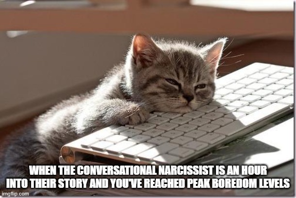 conversational narcissist meme