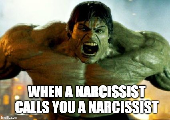 When a Narcissist Calls You a Narcissist Meme