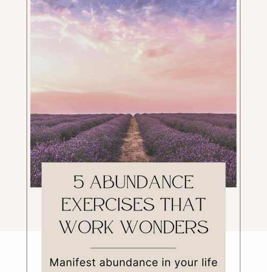 5 Abundance Exercises That Work Wonders- workbook cover phoot