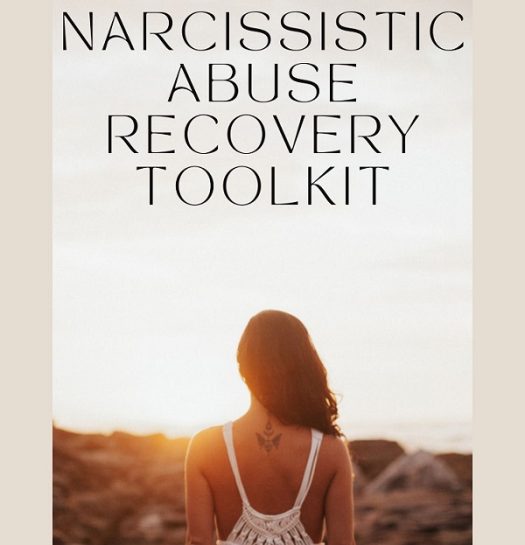 Narcissistic Abuse Recovery Toolkit image